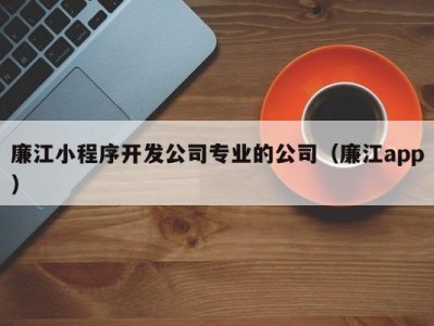 廉江小程序开发公司专业的公司（廉江app）