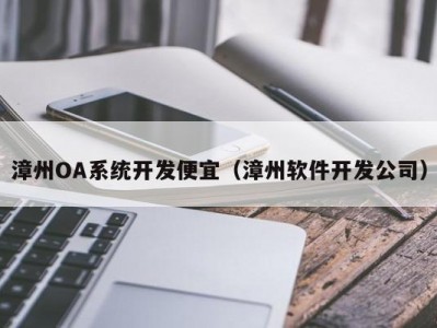 漳州OA系统开发便宜（漳州软件开发公司）