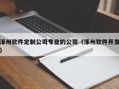 涿州软件定制公司专业的公司（涿州软件开发）