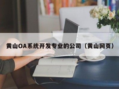 黄山OA系统开发专业的公司（黄山网页）