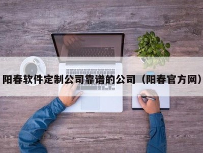 阳春软件定制公司靠谱的公司（阳春官方网）