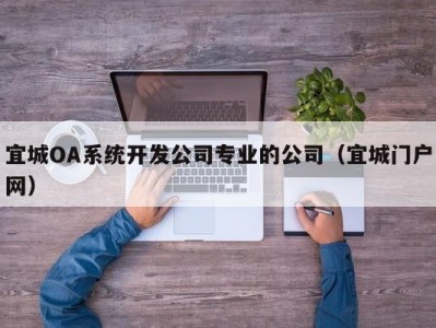 宜城OA系统开发公司专业的公司（宜城门户网）