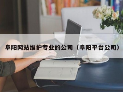 阜阳网站维护专业的公司（阜阳平台公司）