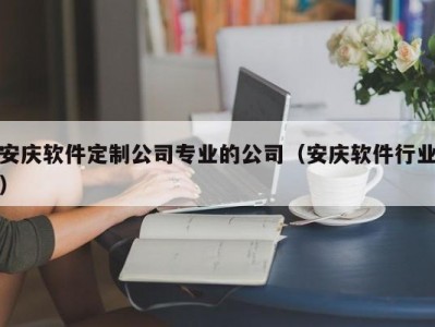 安庆软件定制公司专业的公司（安庆软件行业）