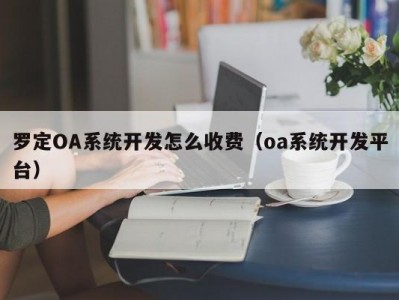 罗定OA系统开发怎么收费（oa系统开发平台）