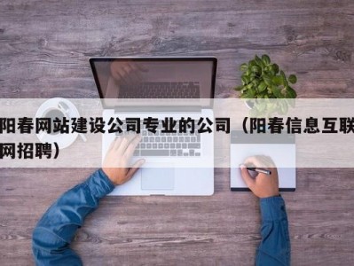 阳春网站建设公司专业的公司（阳春信息互联网招聘）